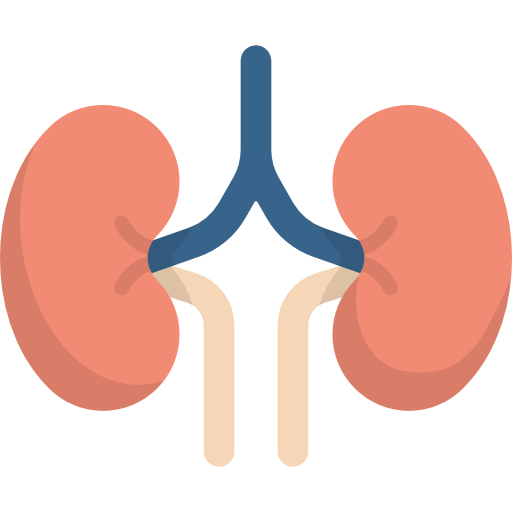 Insuficiência renal