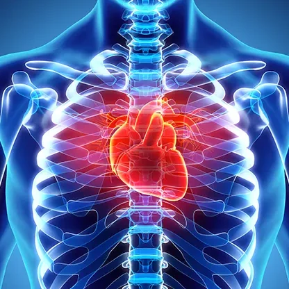Cardiologia