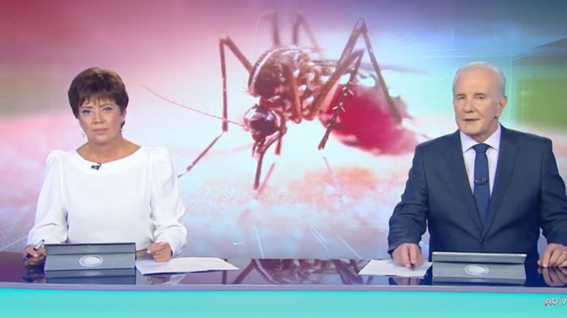 Chegada do verão e das chuvas acende alerta para proliferação do mosquito da dengue